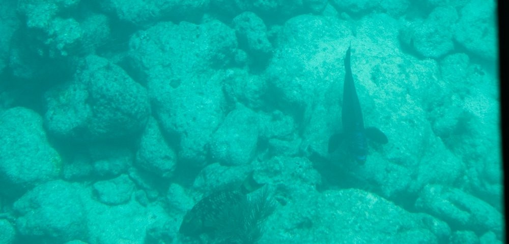 MarineLab Undersea Park-拉哥岛必去景点