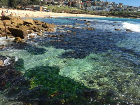 Exclusive East Tours-Rose Bay必去景点