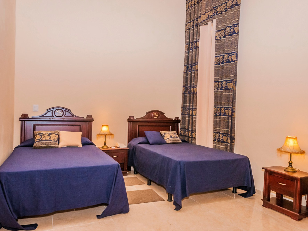 Hotel E El Marques主图