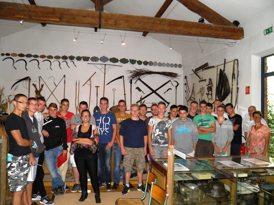 Musee Traditions et Vie devient Vie en Dombes en 1900-Chatillon-sur-Chalaronne必去景点