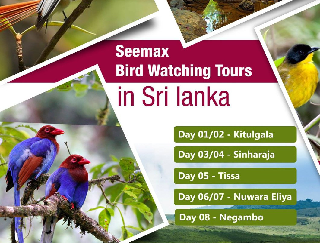 Seemax Travels and Tours-科伦坡必去景点