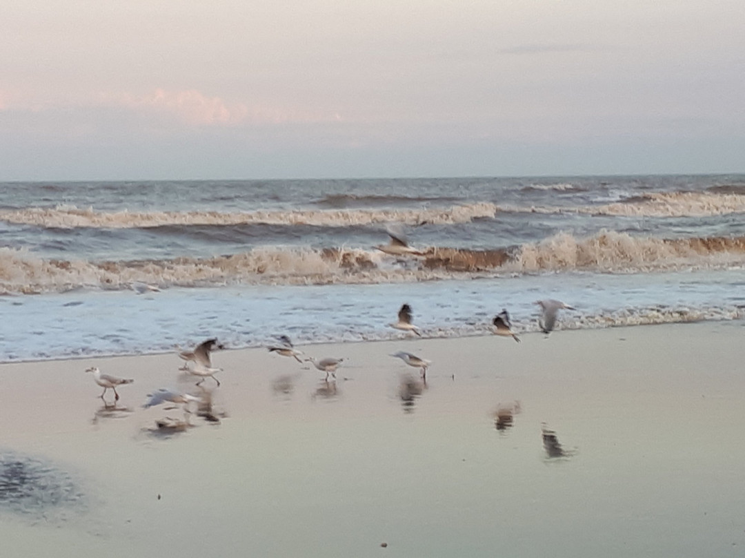 Costa del Este旅游攻略图片