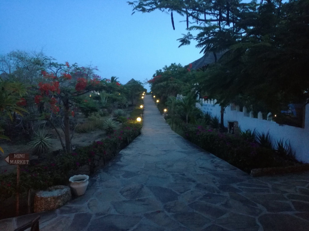 Jacaranda Beach Resort主图