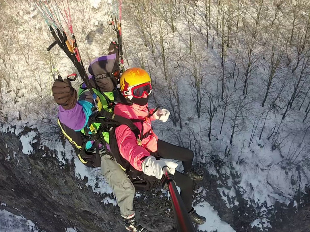 WildGuru Paragliding Company景点图片