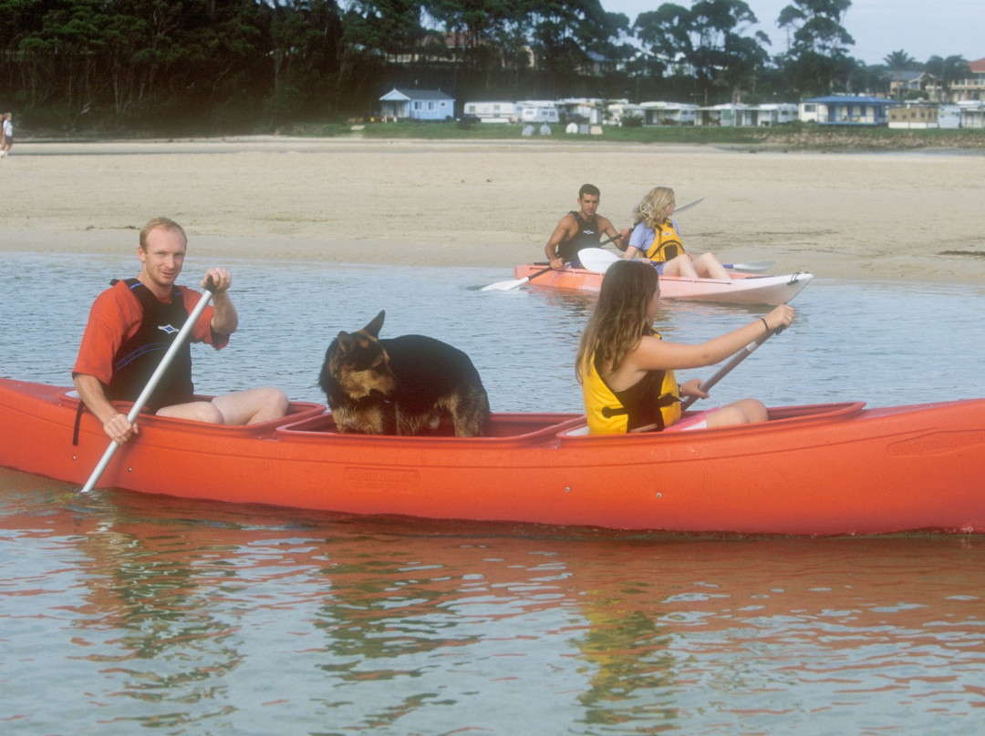 Nowra Kayak Hire景点图片