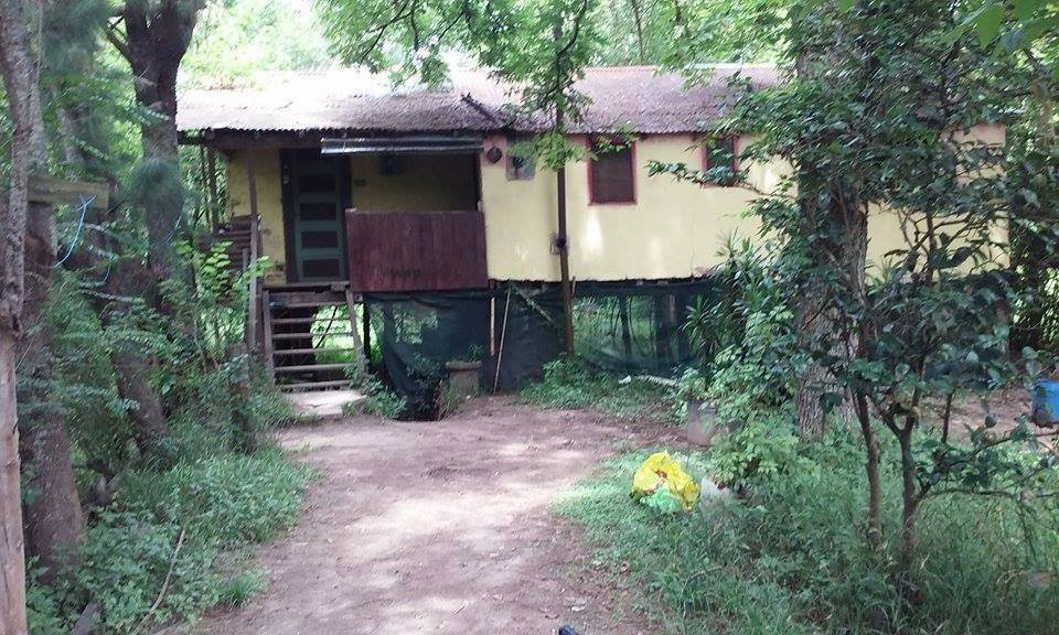 La Real-蒂格雷必去景点