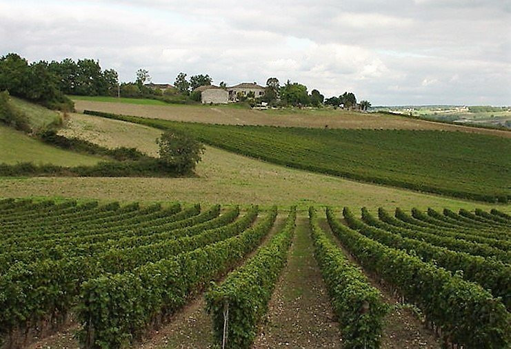 Domaine de Cantecor主图