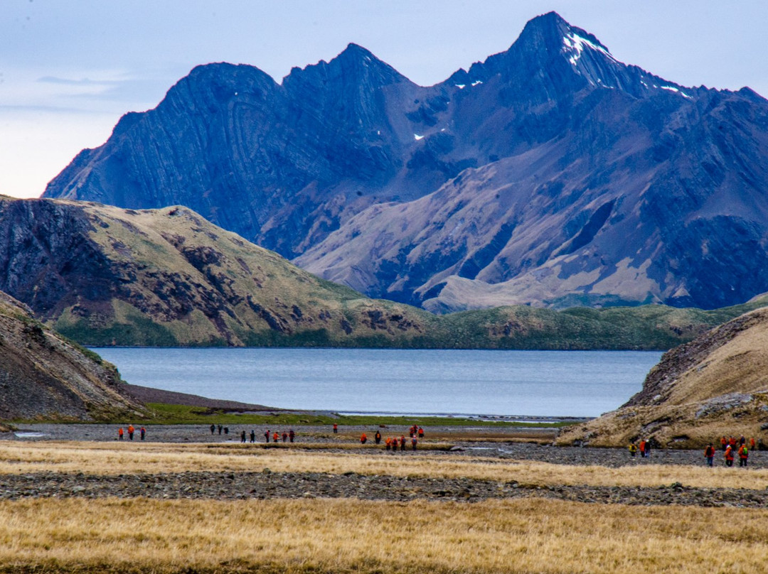 南乔治亚岛旅游攻略图片