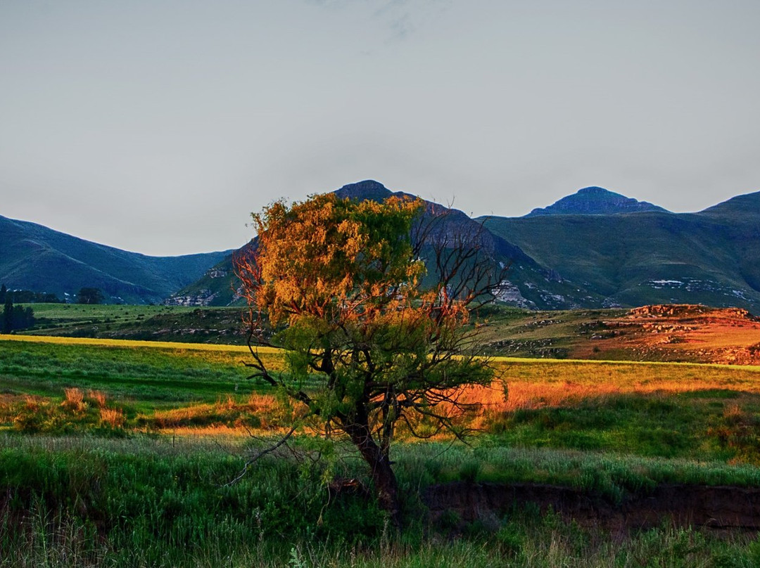 De Molen Farm Clarens主图