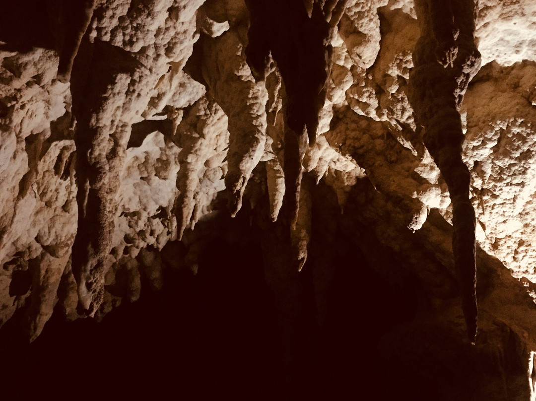 Ruakuri Cave景点图片