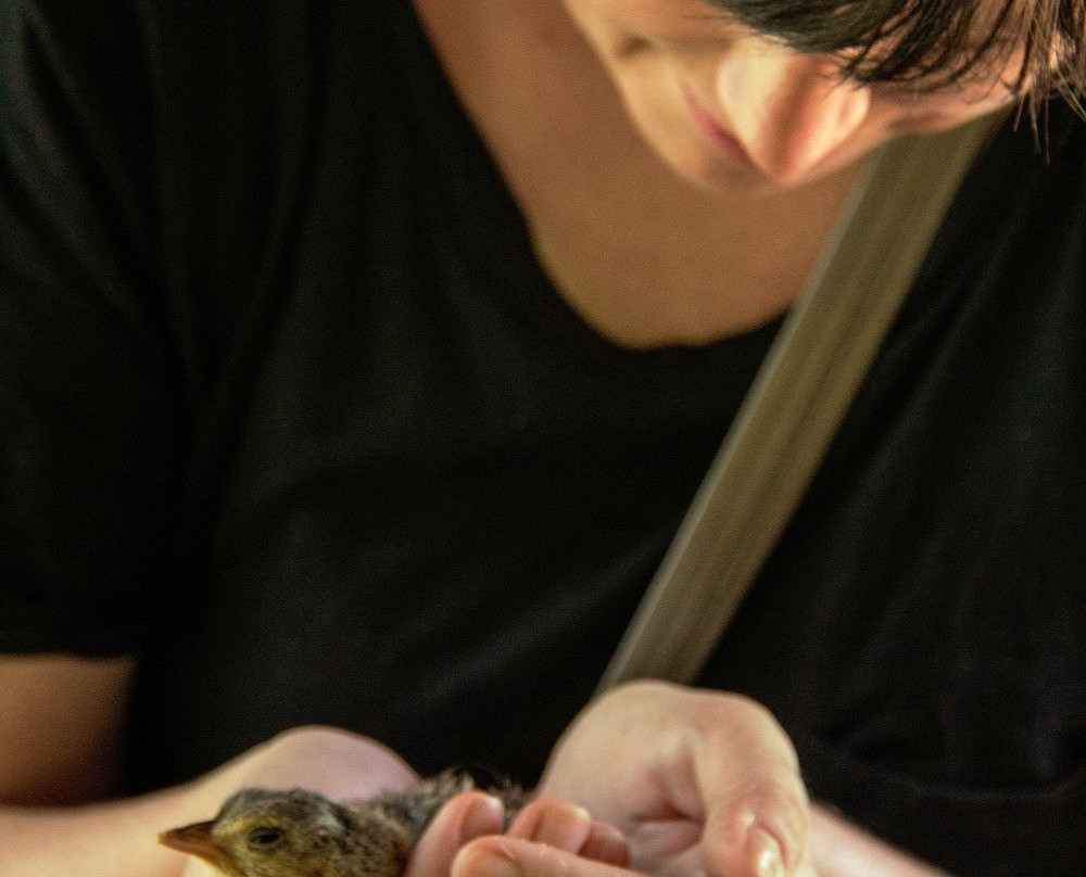 Etili Village Experience-埃勒必去景点