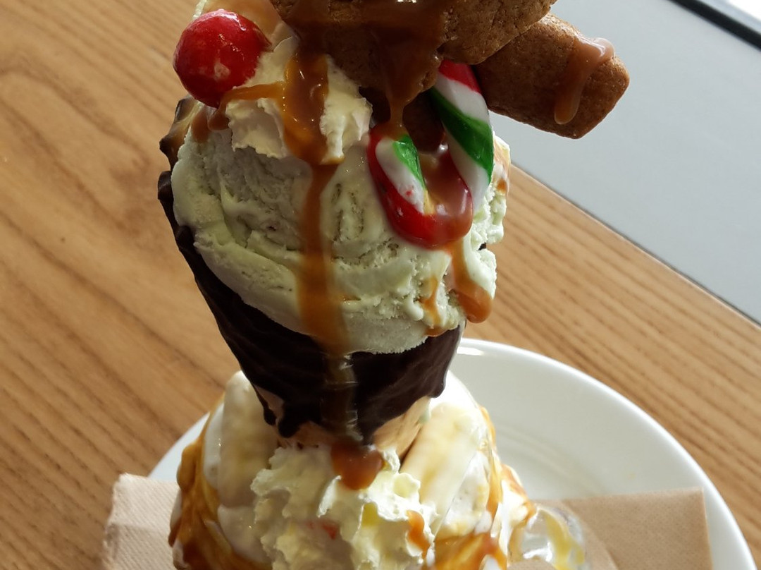 The Enormous Crocodile Company-惠灵顿必去景点