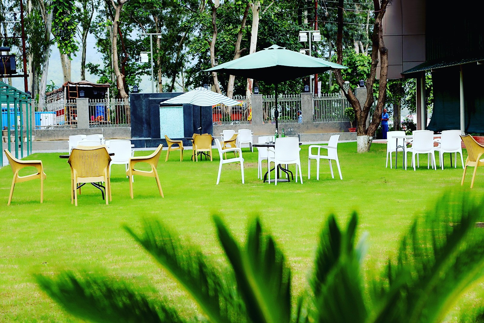 The Forest View Hotel-官方