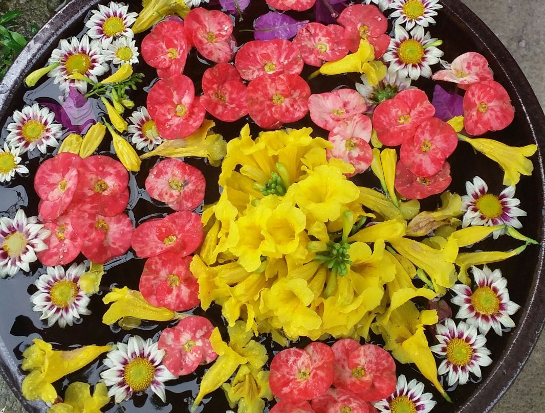 Jasmine Spa-Shwenyaung必去景点