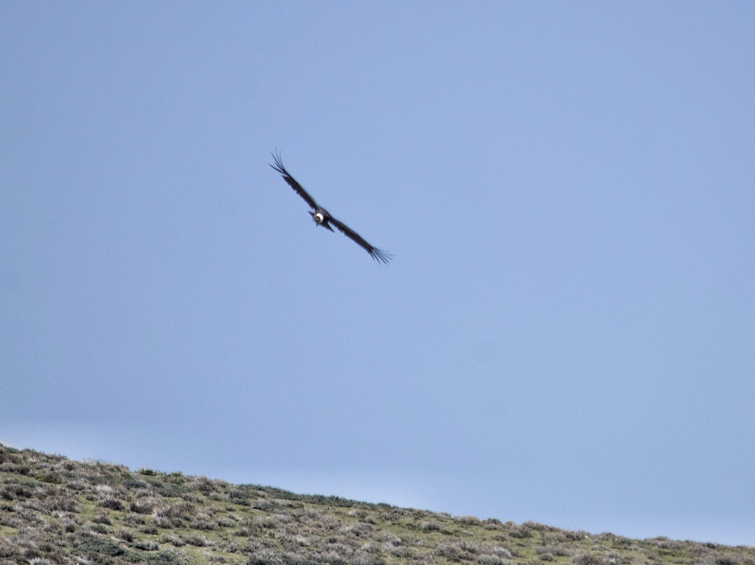Parque Yerba Loca-圣地亚哥必去景点