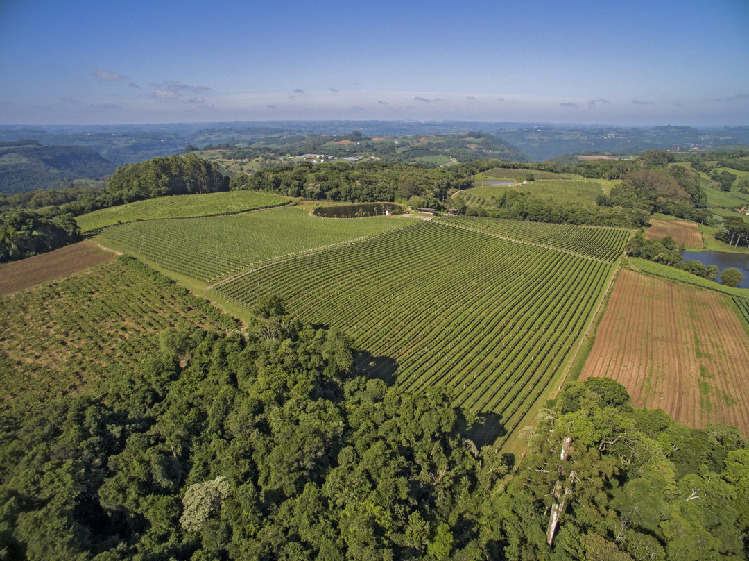 Boscato Vinhos Finos-Nova Padua必去景点