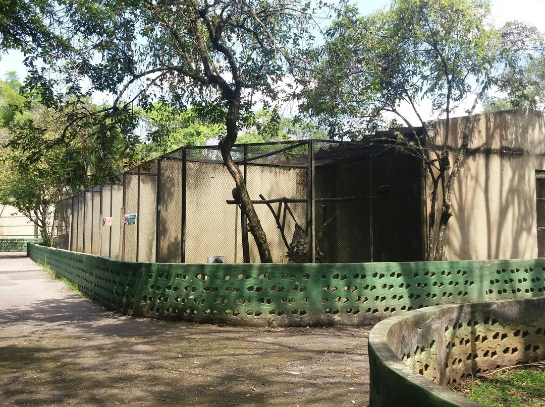 Zoologico Municipal景点图片