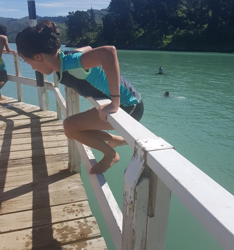 Corsair Bay-基督城必去景点