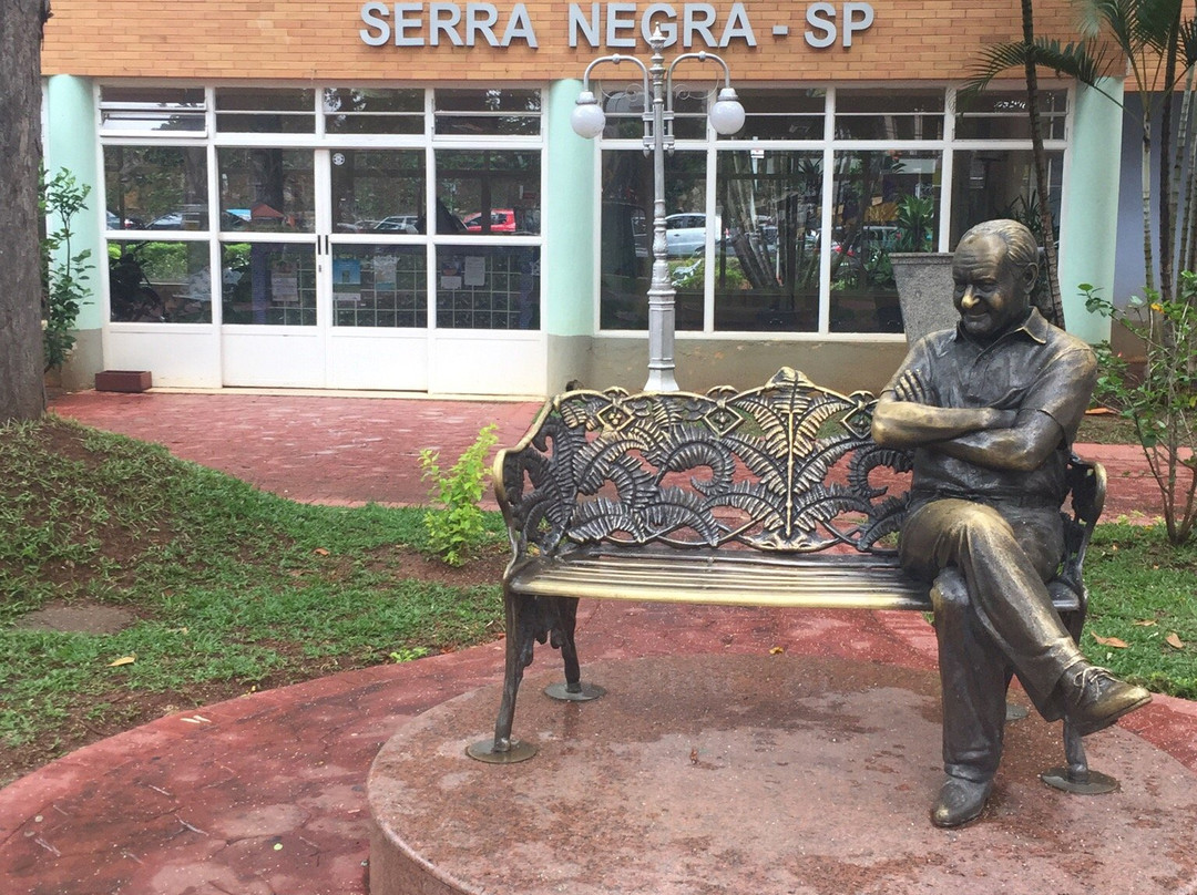 Estátua Ronald Golias-塞拉内格拉必去景点