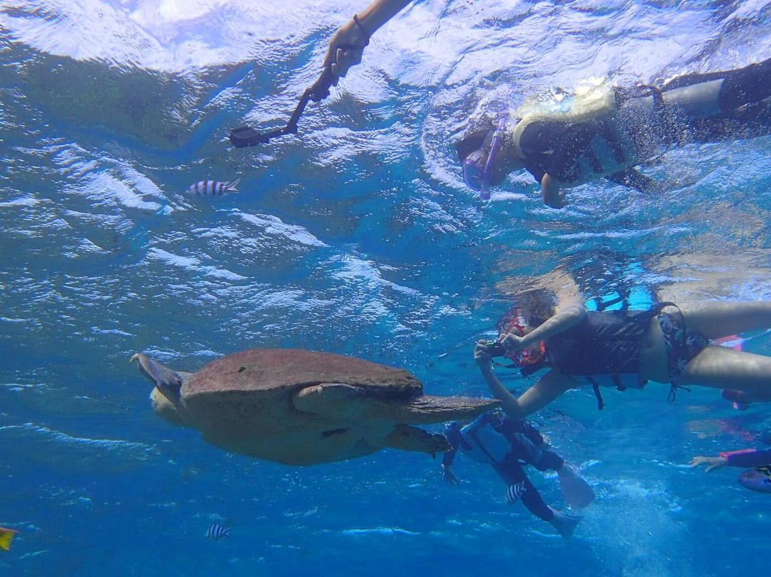 Happy Island (Tokashiki) - Day Tour-那霸市必去景点