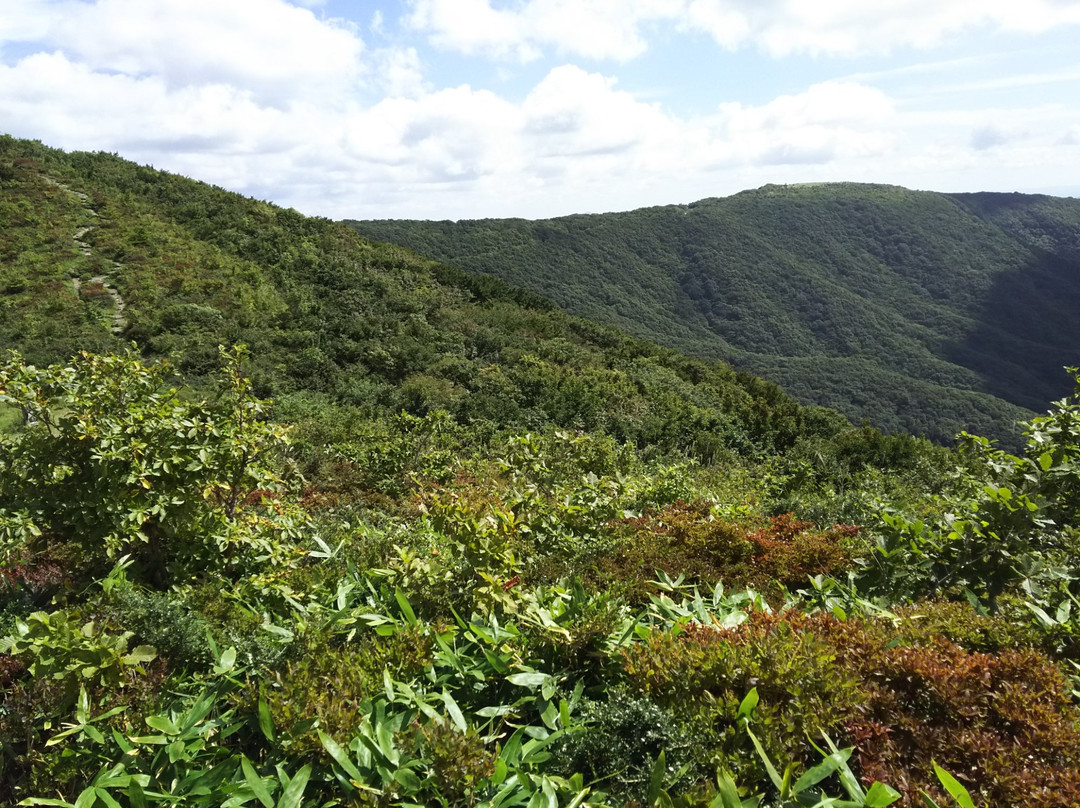 Hibayama Mountain Range景点图片