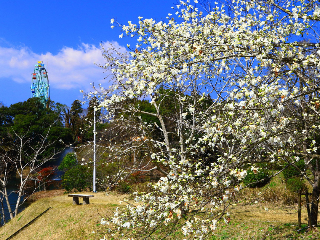 Kannonike Park-都城市必去景点