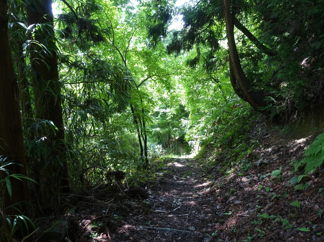 Tateyama Park-大江町必去景点