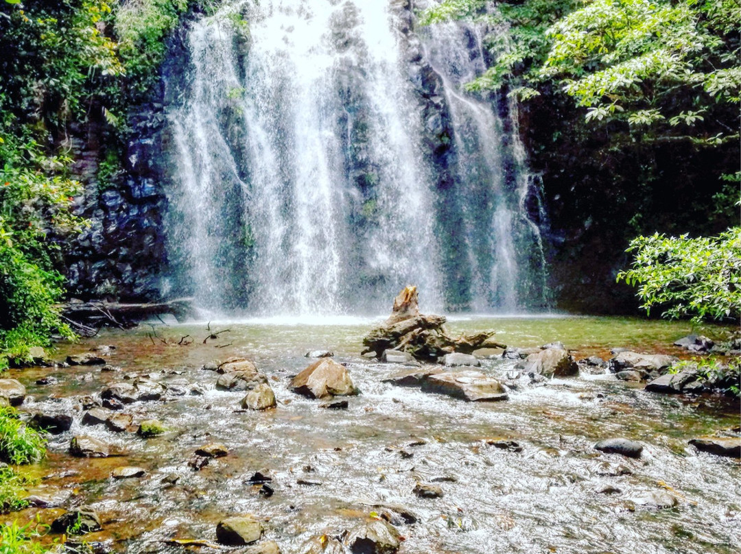 Tablelands Tours景点图片