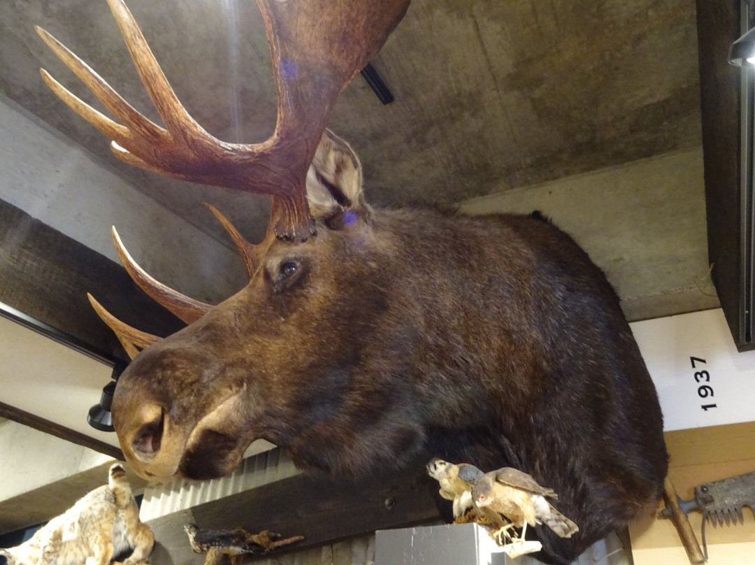 Kitimat Museum & Archives-Kitimat必去景点