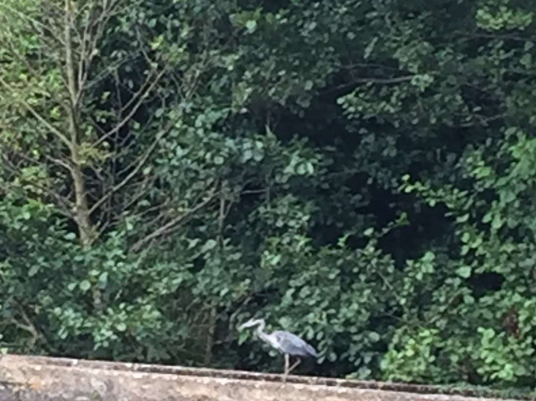 Stroud Park-斯特劳德必去景点