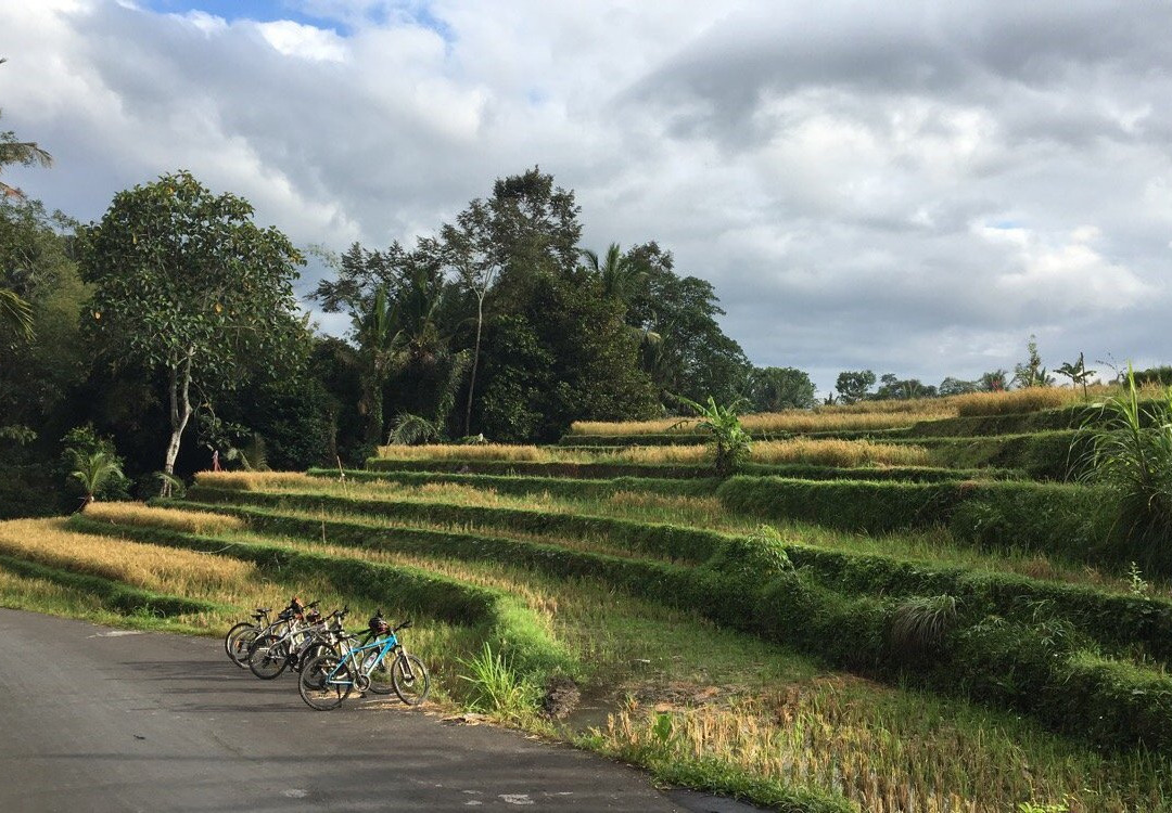 Canggu Villa & Cooking Retreat-Tibubeneng必去景点