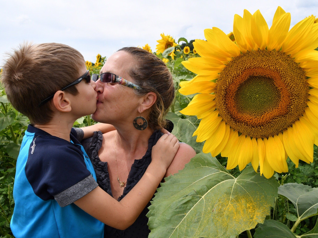 Pope Farm Conservency-Middleton必去景点