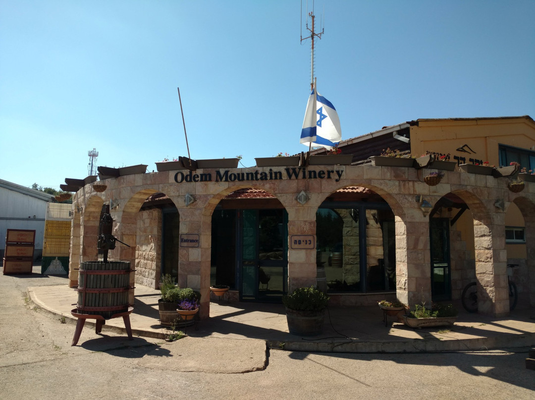 Odem Mountain Winery-Odem必去景点