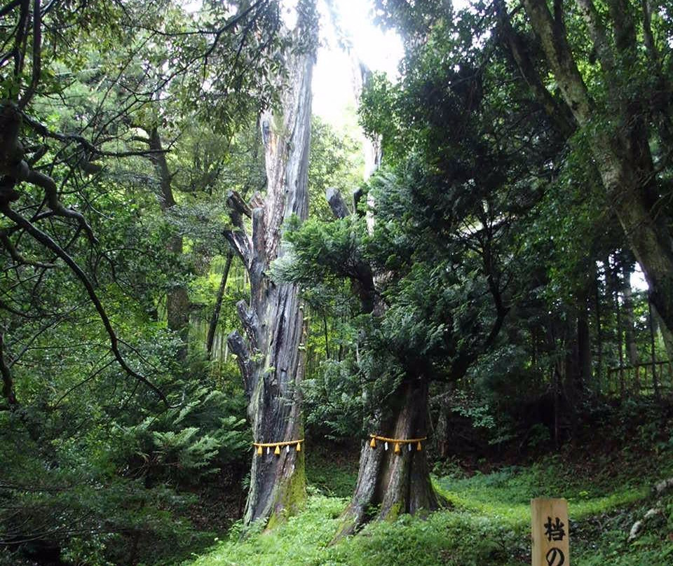 Ganso Ate-轮岛市必去景点
