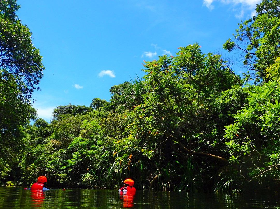 Motti Iriomote Island Trekking Eco Tour-竹富町西表岛必去景点