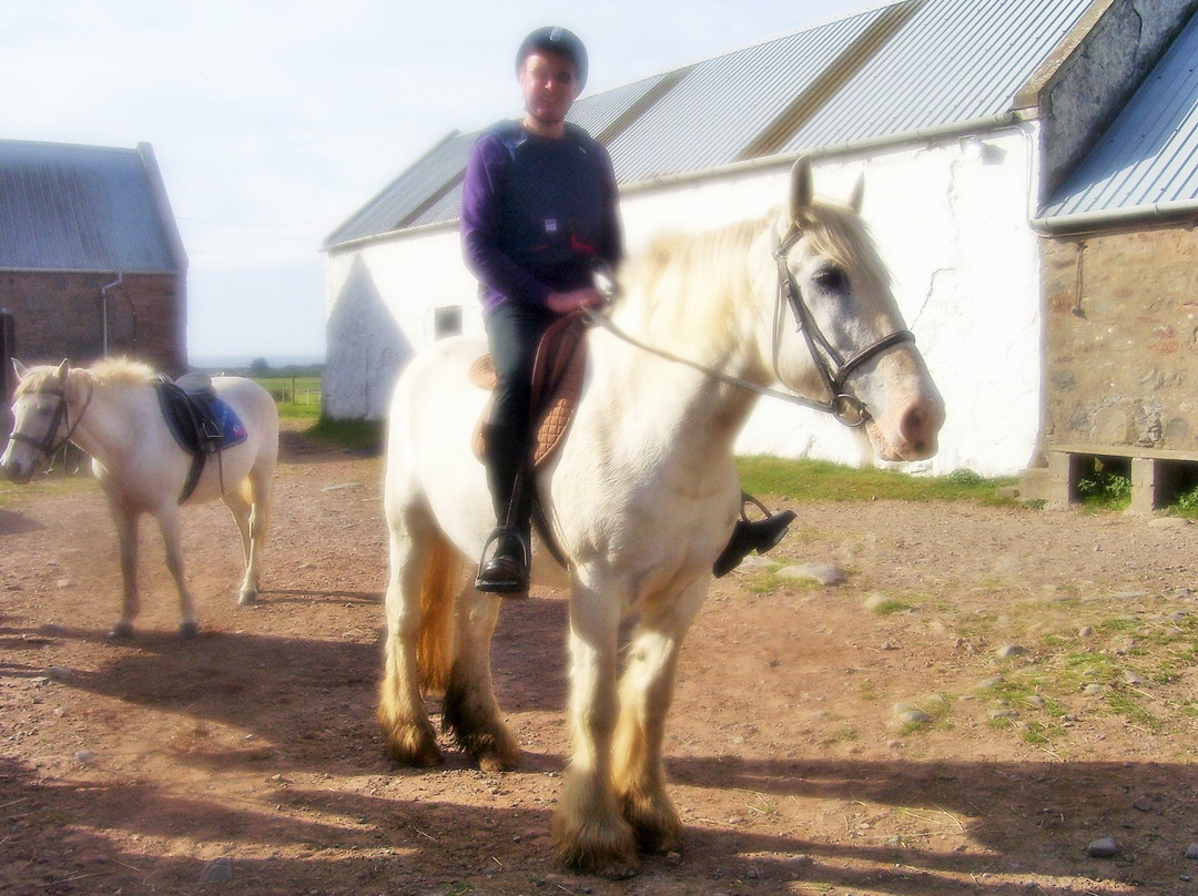 Shanter Riding Centre景点图片