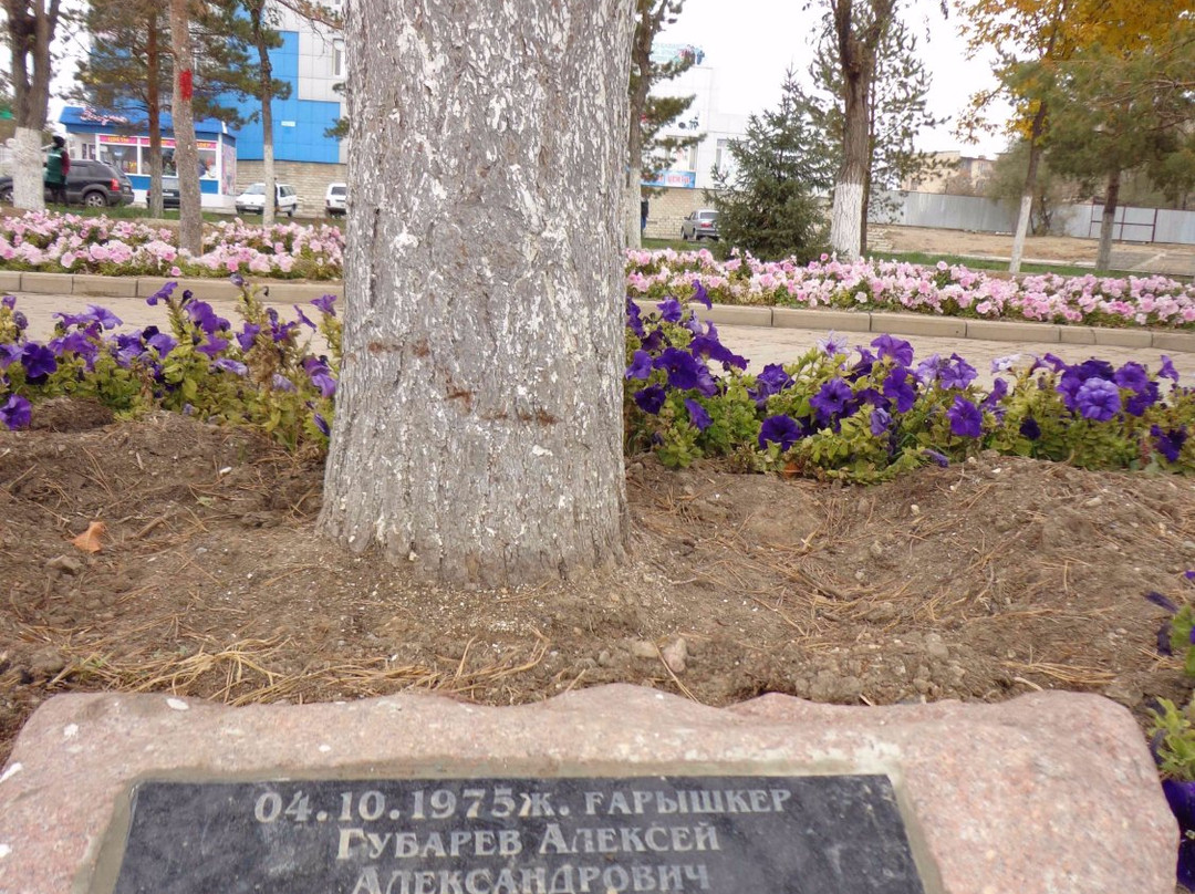 Alley of Pines Planted by Cosmonauts-Zhezkazgan必去景点