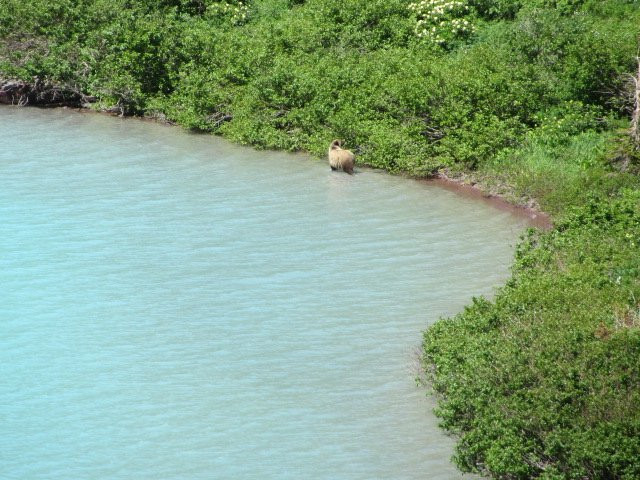 Cracker Lake Hike-冰河国家公园必去景点