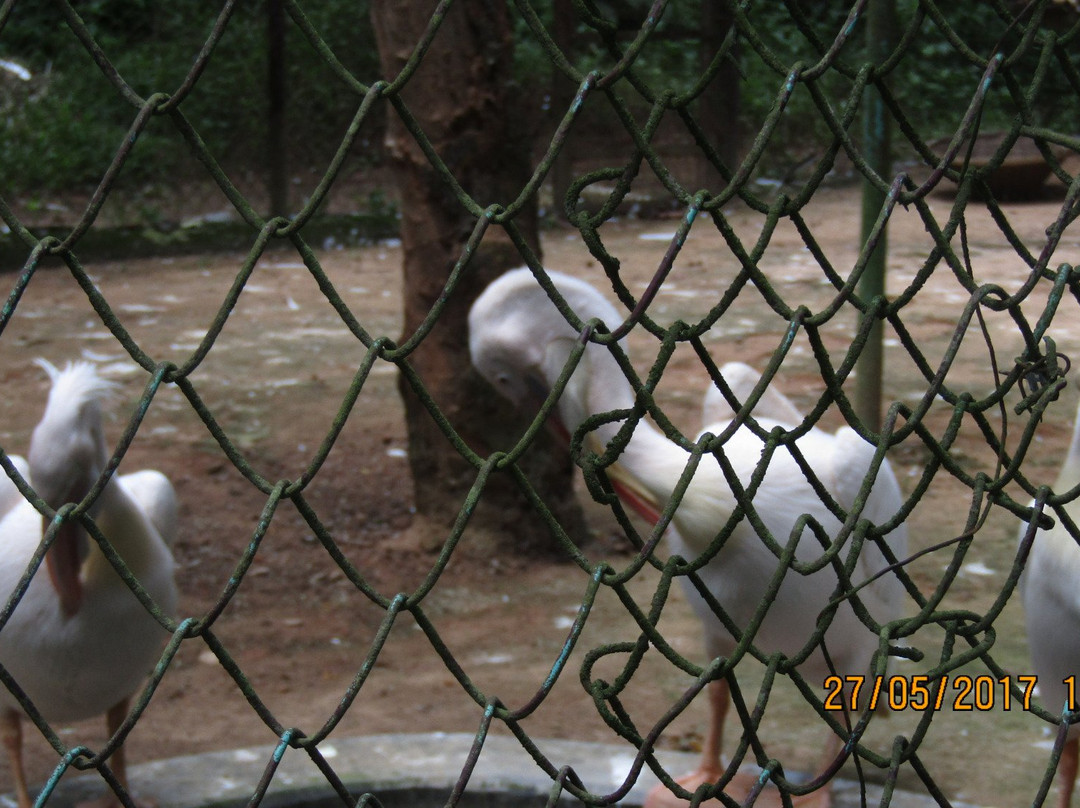 Sepahijala Wildlife Sanctuary景点图片