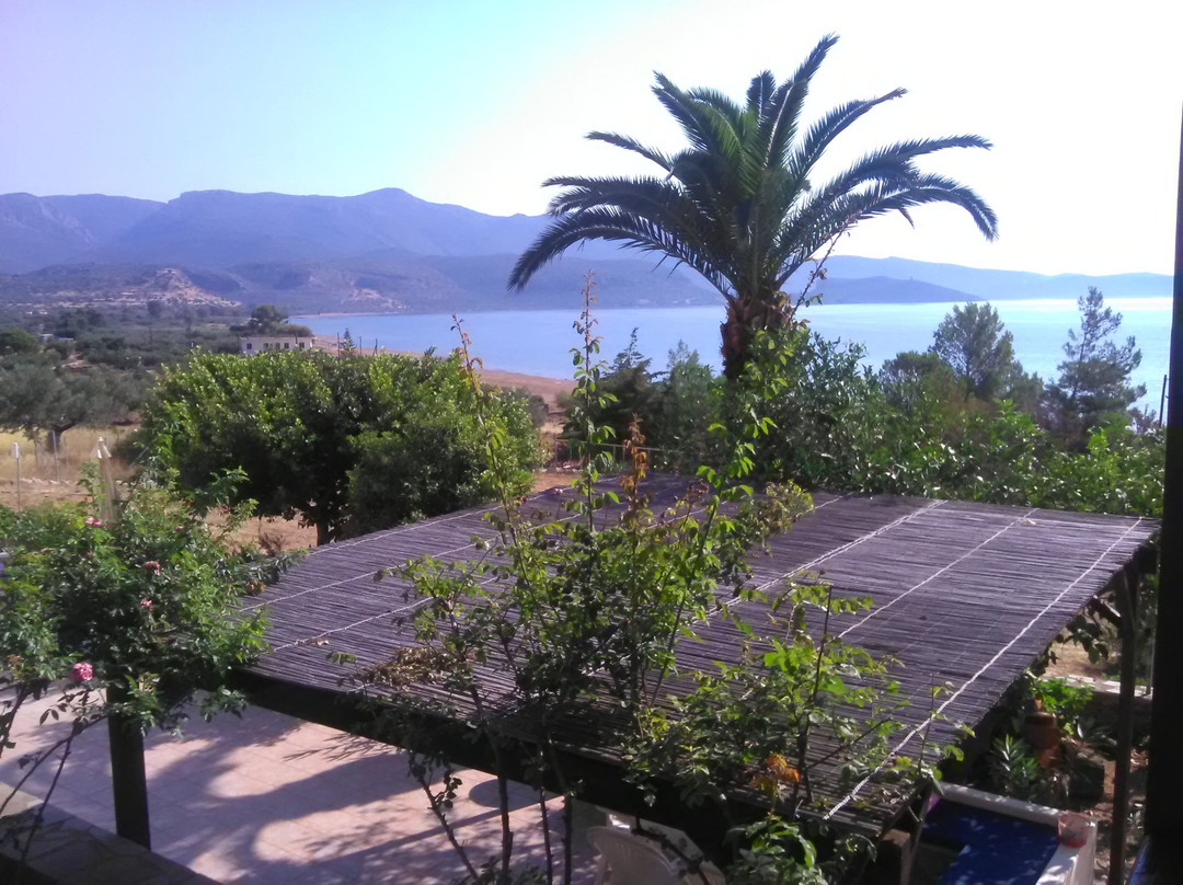 Molaoi酒店住宿-Iliopetro Apartments