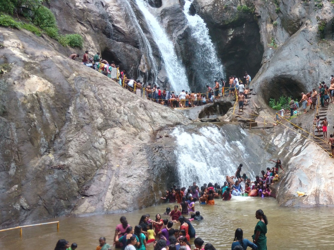 Kumbhavurutty Waterfalls景点图片