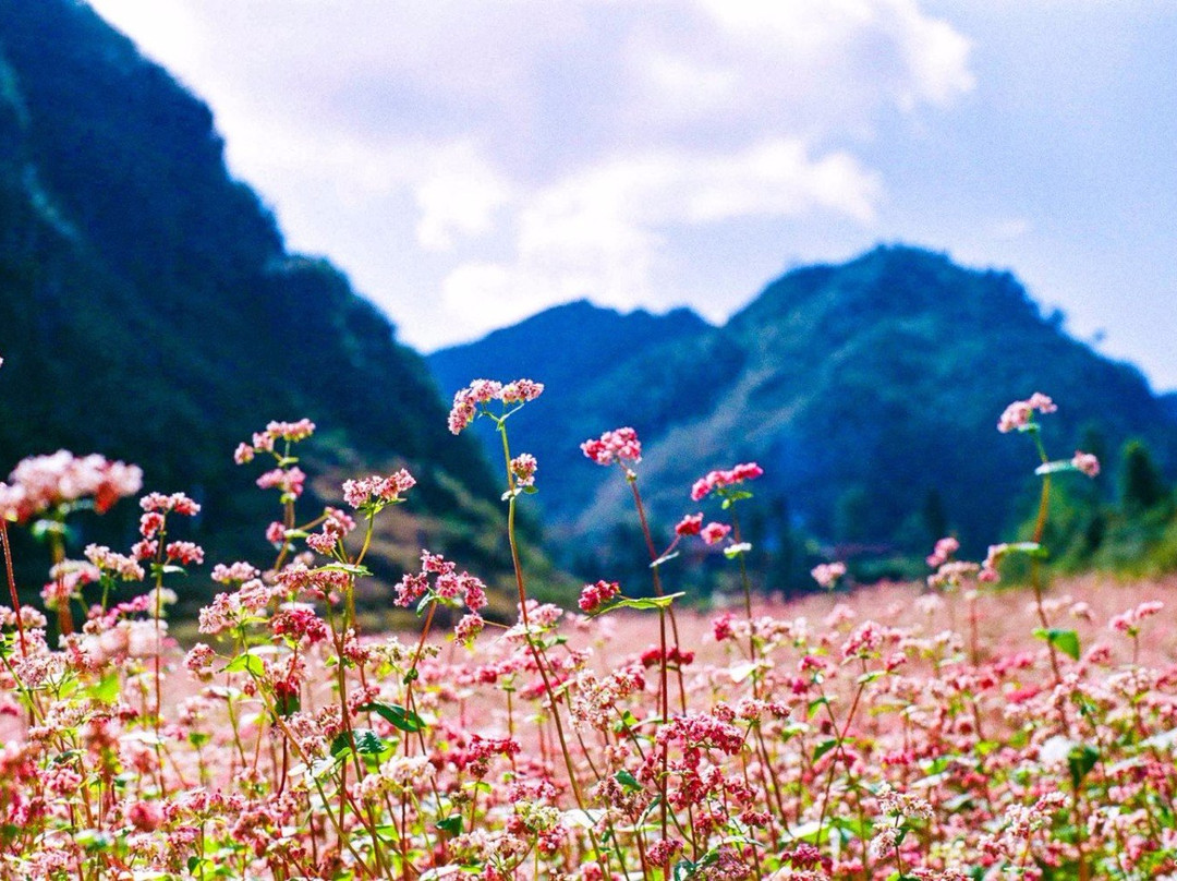 Blue Star Travel-河内必去景点