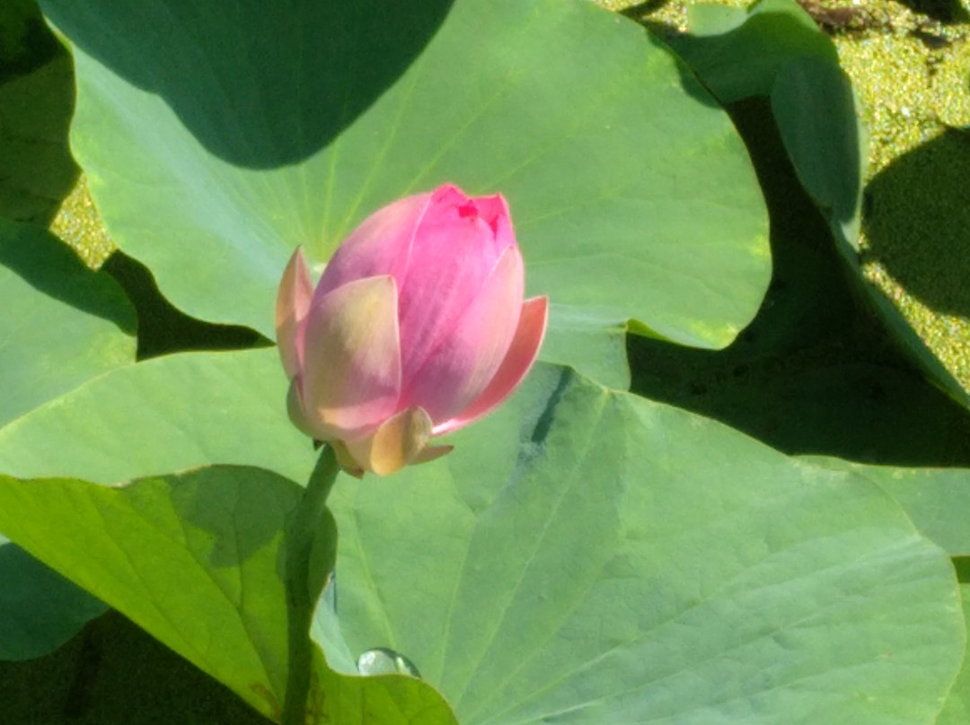 陶唐峪-霍州市必去景点