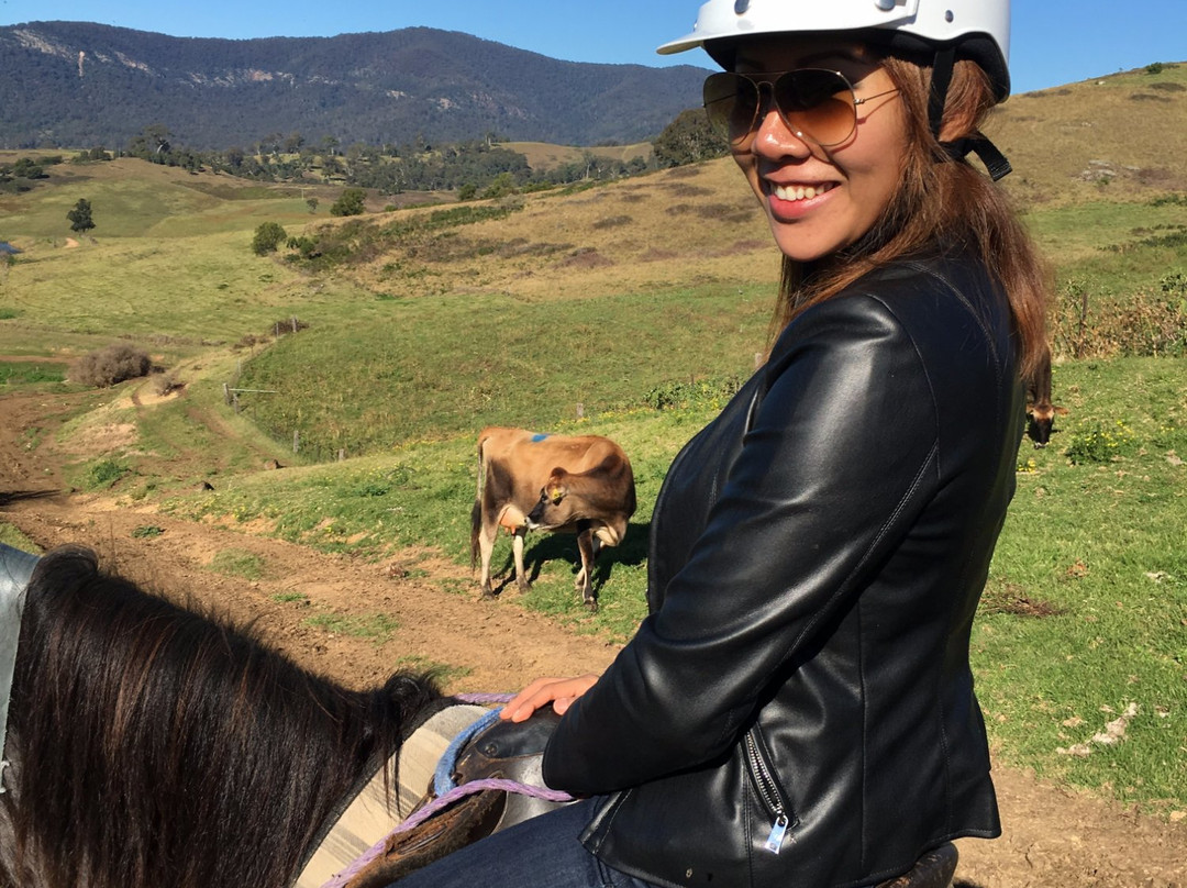 Wolumla Horse Riding Adventures-Wolumla必去景点