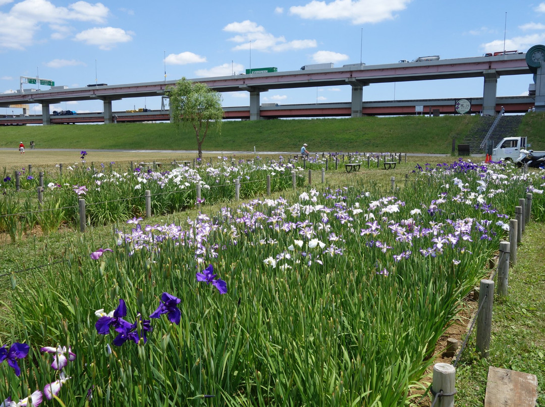 Horikiri Waterfront Park-葛饰区必去景点