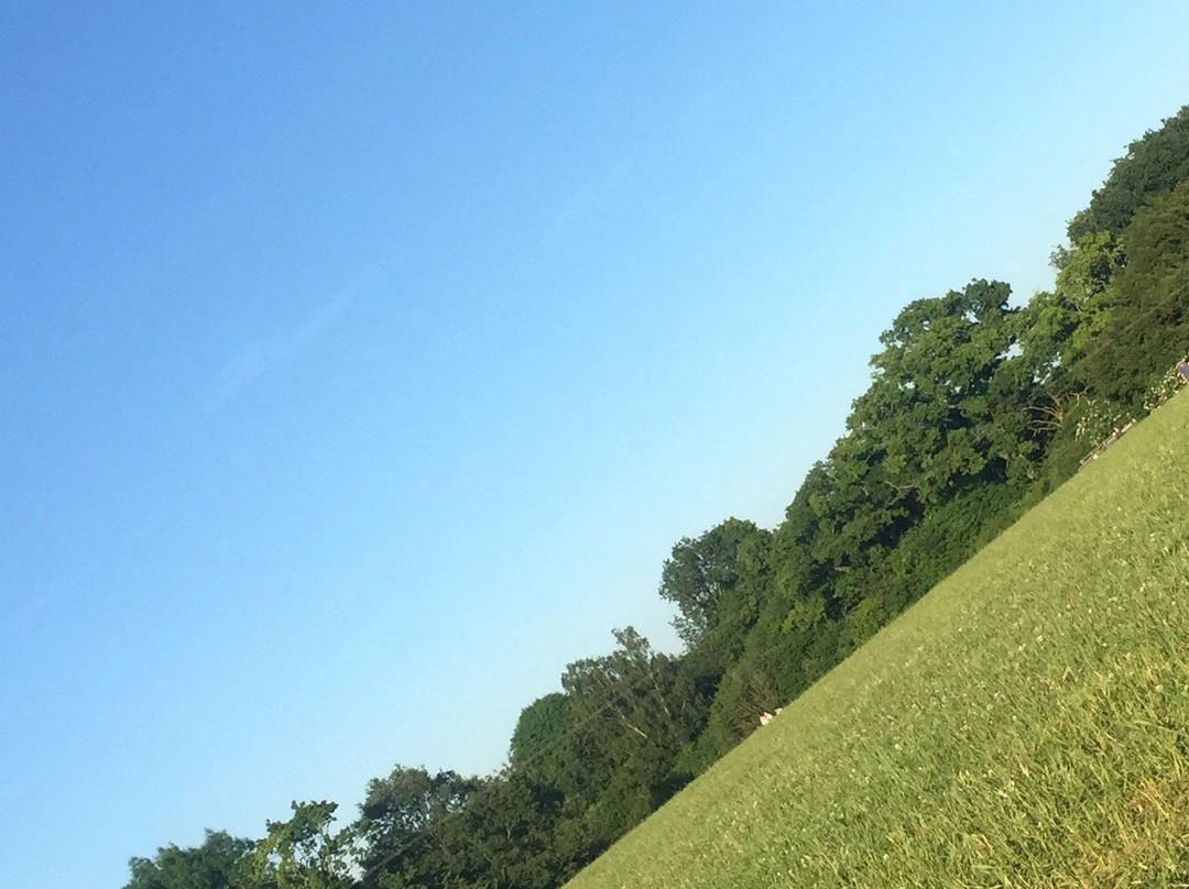 Abbotstone Wood Camping