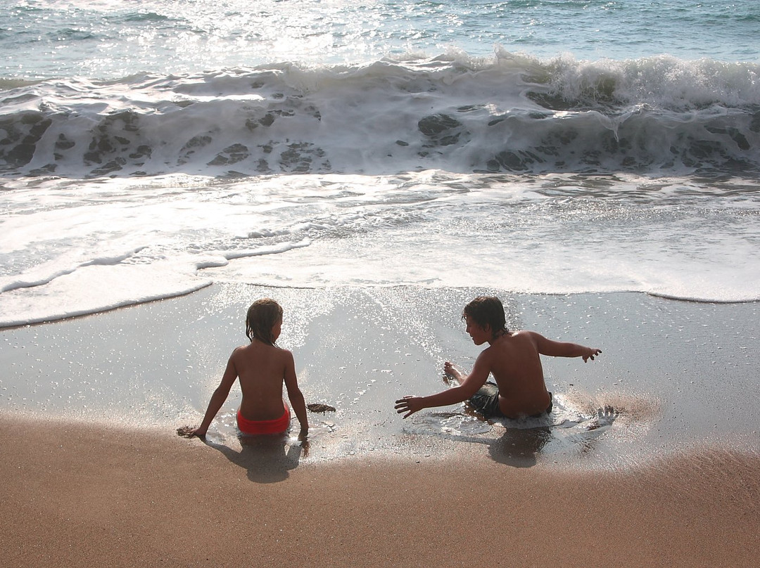 Toxeftra Beach-帕福斯必去景点