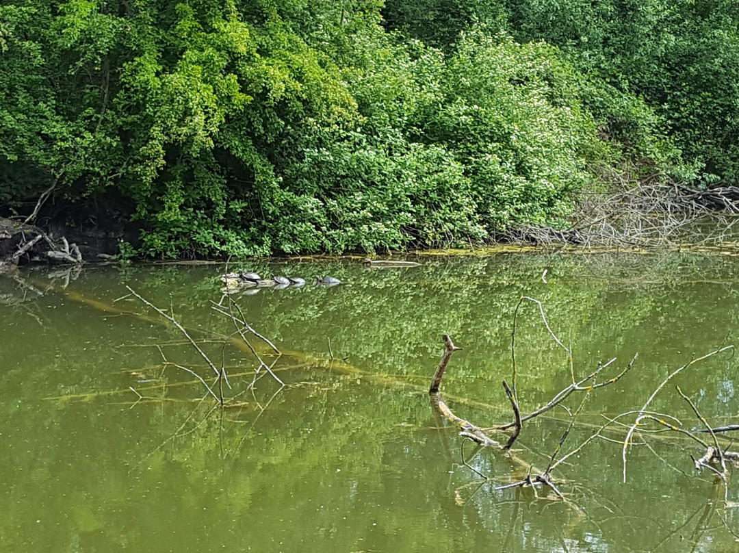 Vogelpark Heppenheim-Heppenheim必去景点
