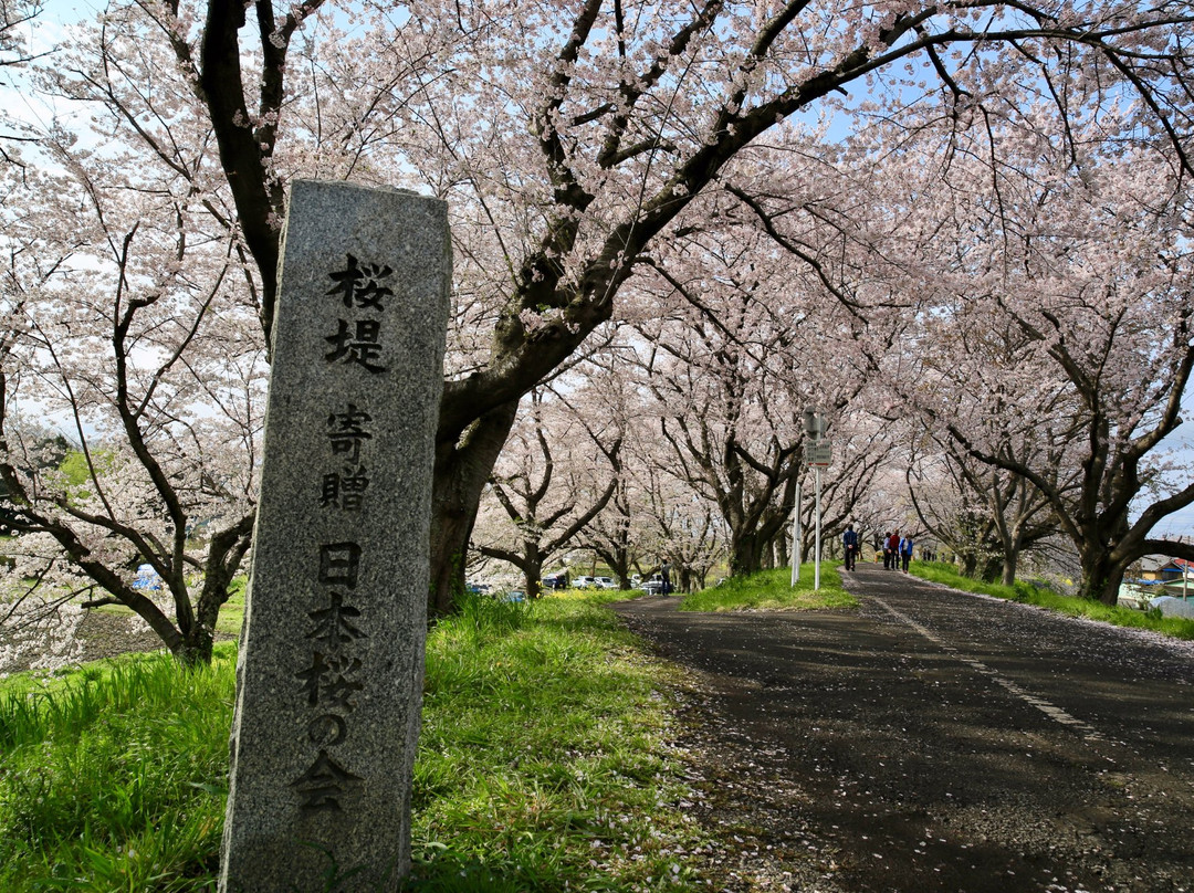 Sakuratsutsumi Park-吉见町必去景点