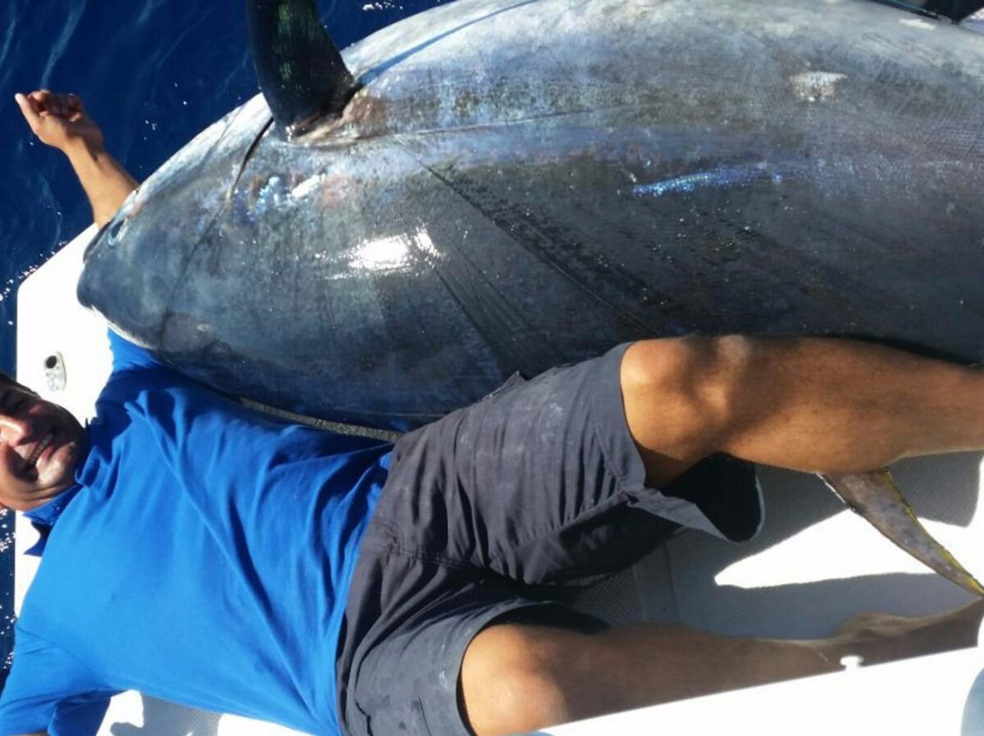 Fishing in Mallorca-El Toro必去景点